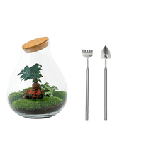 Drop XL Bonsai Terrarium