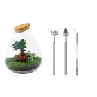 Drop XL Bonsai Terrarium