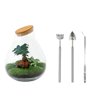 Drop XL Bonsai Terrarium