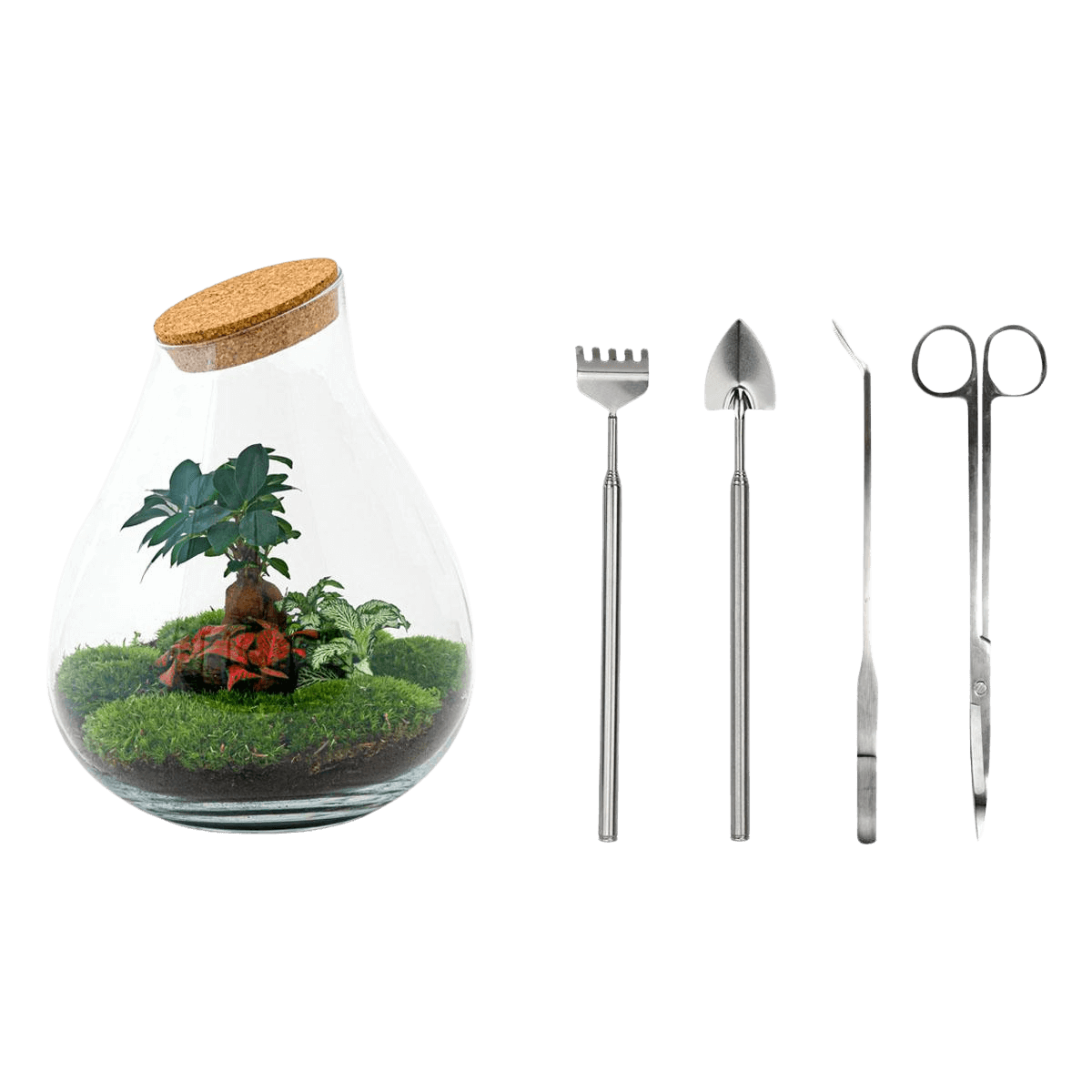 Drop XL Bonsai Terrarium