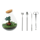 Drop XL Bonsai Terrarium