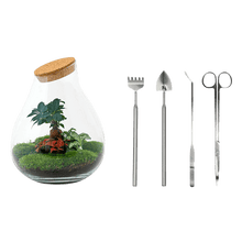 Drop XL Bonsai Terrarium