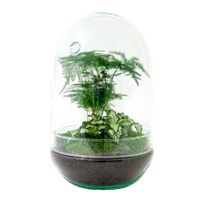 Egg XL Terrarium