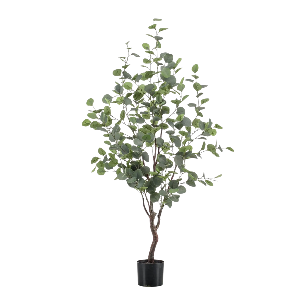 Eucalyptus Kunstplant (Blauwe Gomboom) Everspring