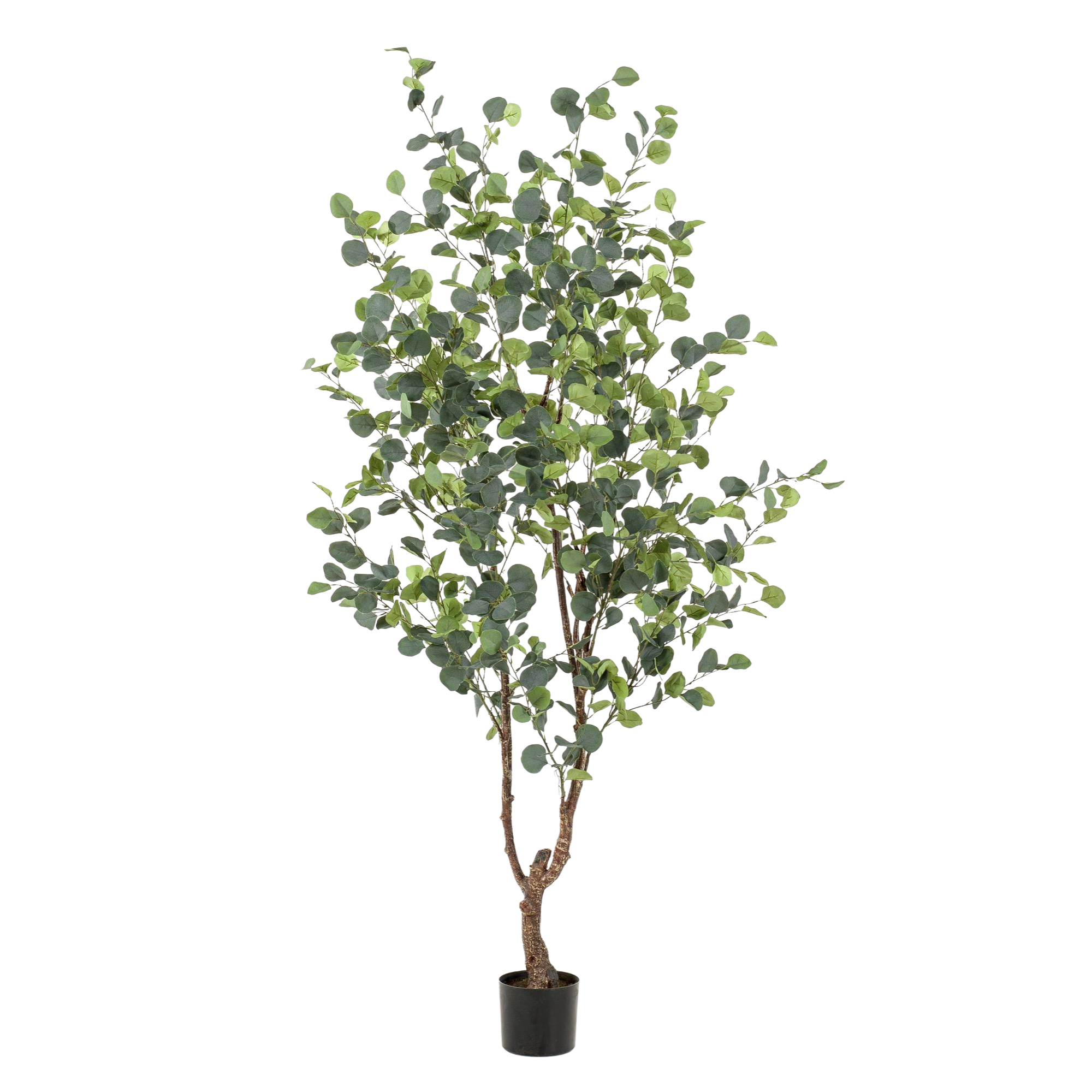 Eucalyptus Kunstplant (Blauwe Gomboom)