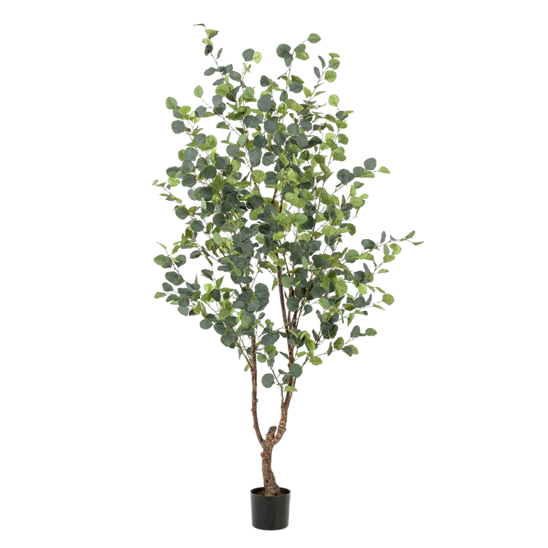 Eucalyptus Kunstplant (Blauwe Gomboom)