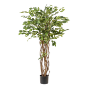 Ficus Liana Kunstplant (Vioolbladplant) Everspring
