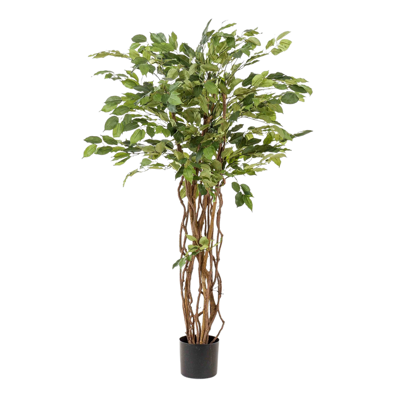 Ficus Liana Kunstplant (Vioolbladplant)