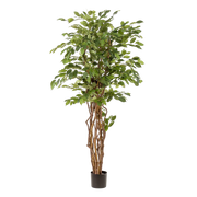 Ficus Liana Kunstplant (Vioolbladplant)