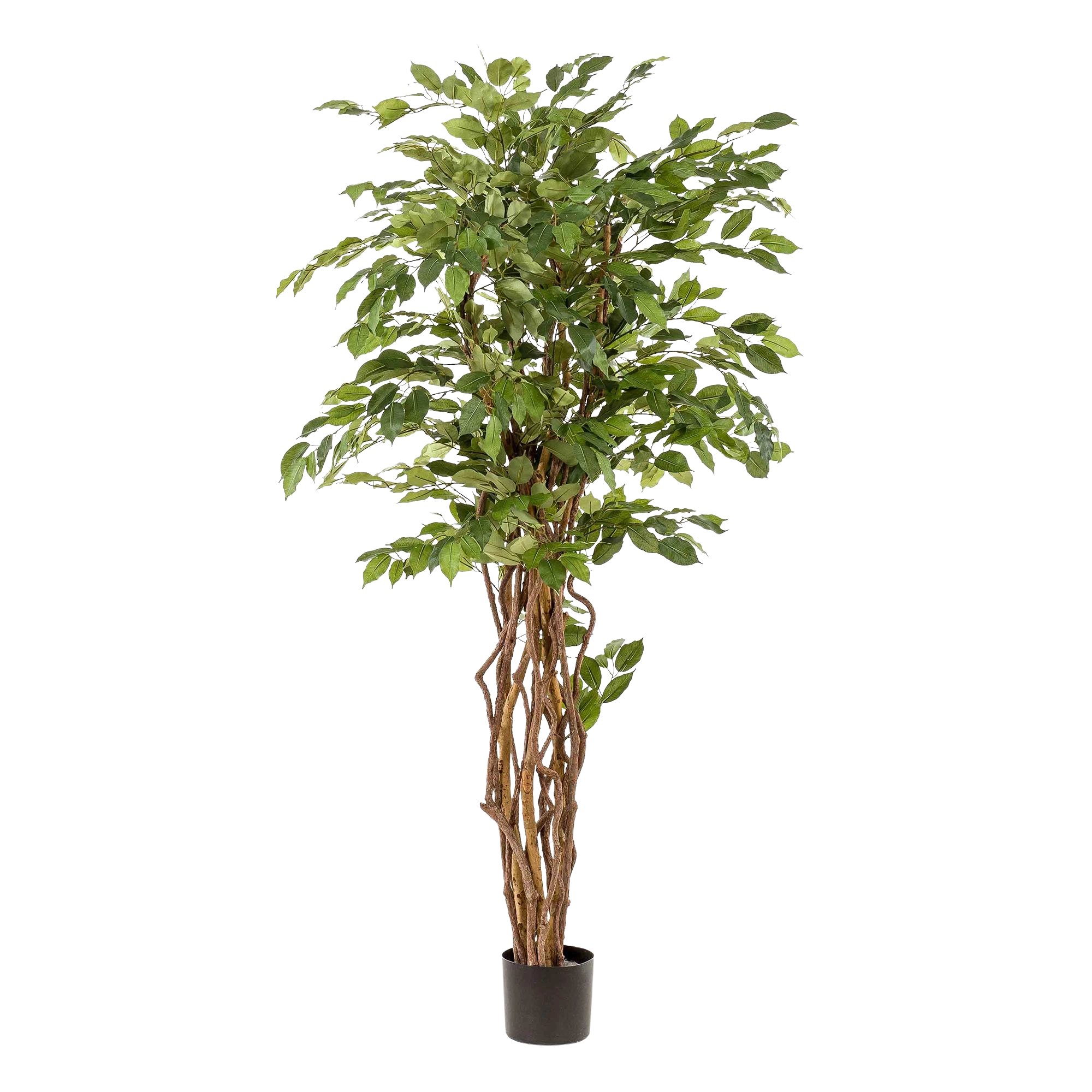 Ficus Liana Kunstplant (Vioolbladplant)