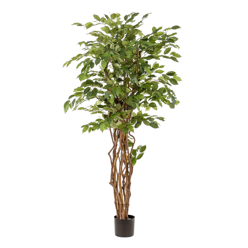 Ficus Liana Kunstplant (Vioolbladplant)