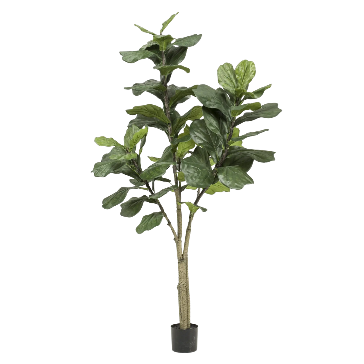 Ficus Lyrata Kunstplant (Tabaksplant) Everspring