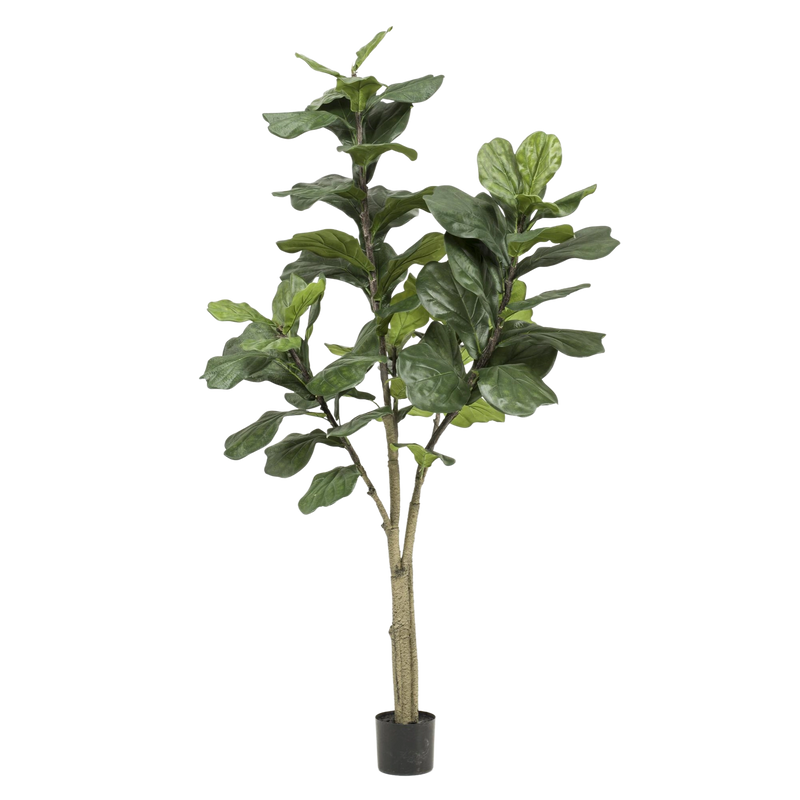 Ficus Lyrata Kunstplant (Tabaksplant)
