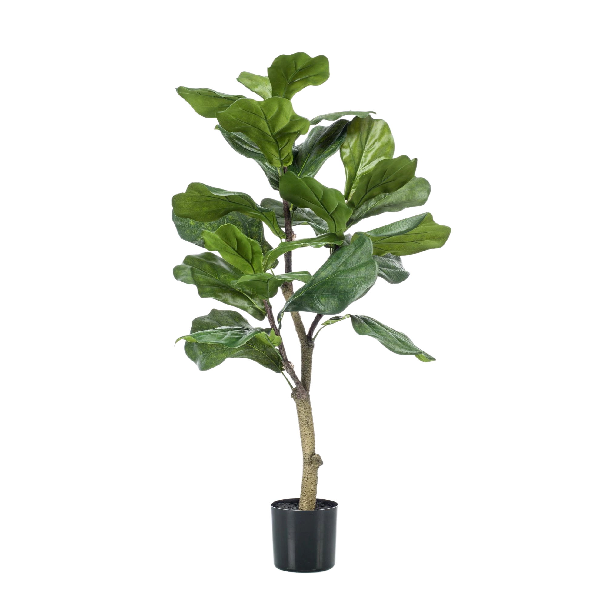 Ficus Lyrata Kunstplant (Tabaksplant)
