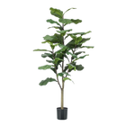 Ficus Lyrata Kunstplant (Tabaksplant) Everspring