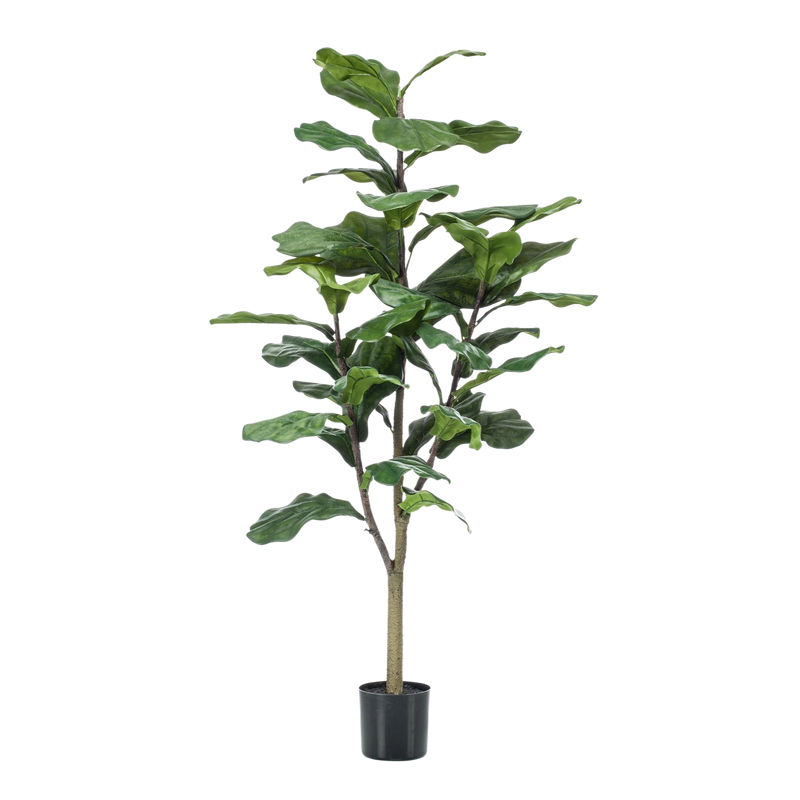 Ficus Lyrata Kunstplant (Tabaksplant)