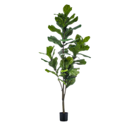 Ficus Lyrata Kunstplant (Vioolbladplant)
