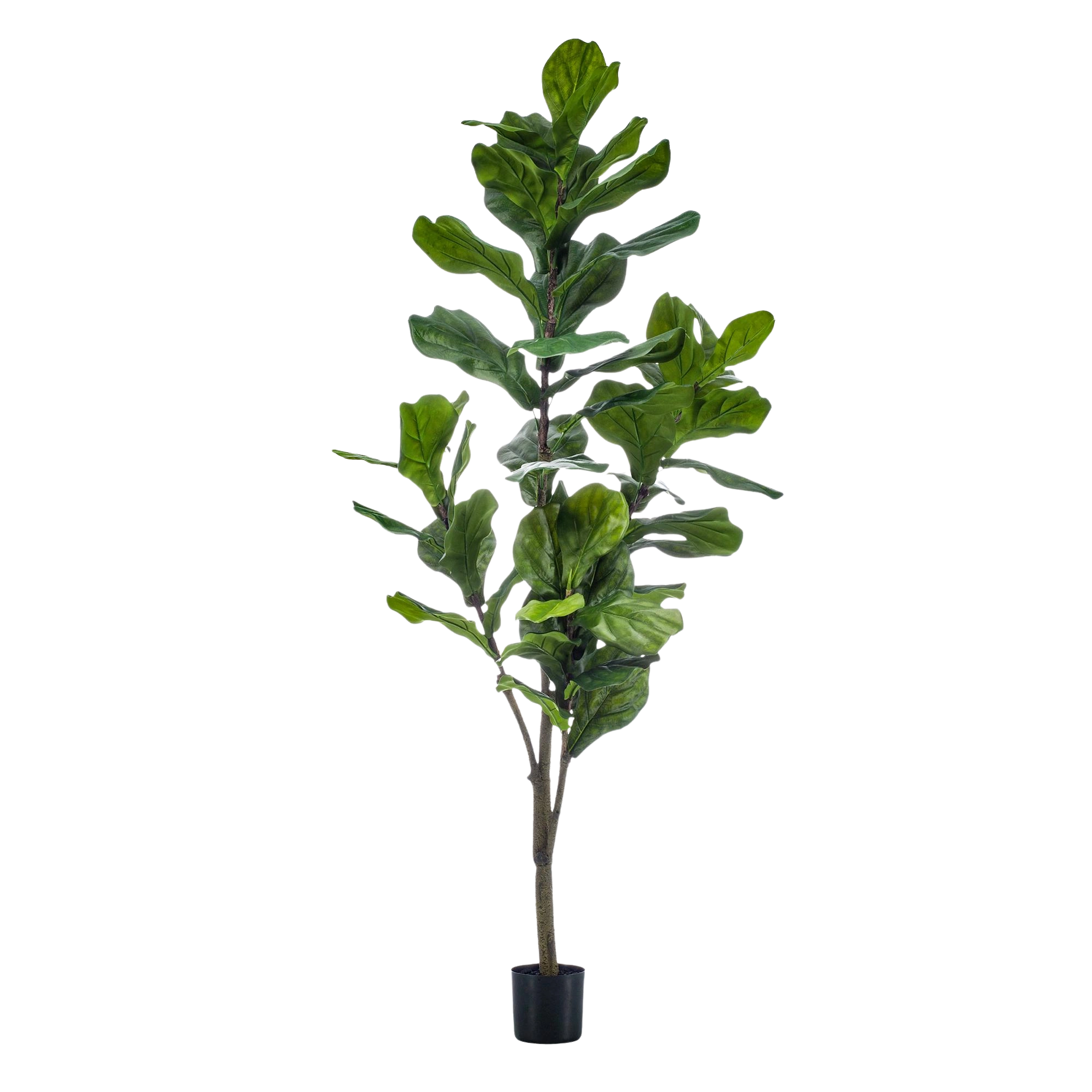 Ficus Lyrata Kunstplant (Vioolbladplant)