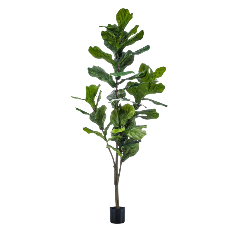 Ficus Lyrata Kunstplant (Vioolbladplant)