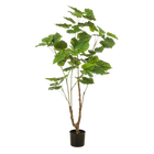 Ficus Umbellata Kunstplant (Afrikaanse Vijg)