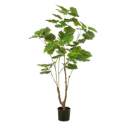 Ficus Umbellata Kunstplant (Afrikaanse Vijg)