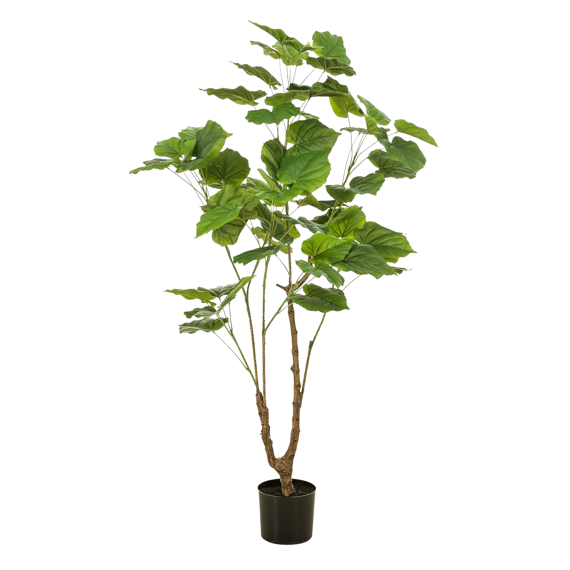 Ficus Umbellata Kunstplant (Afrikaanse Vijg)