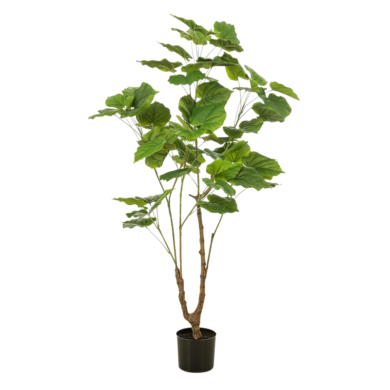 Ficus Umbellata Kunstplant (Afrikaanse Vijg)