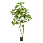 Ficus Umbellata kunstplant (Afrikaanse Vijg)