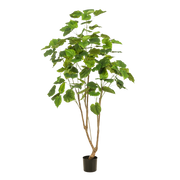 Ficus Umbellata kunstplant (Afrikaanse Vijg)