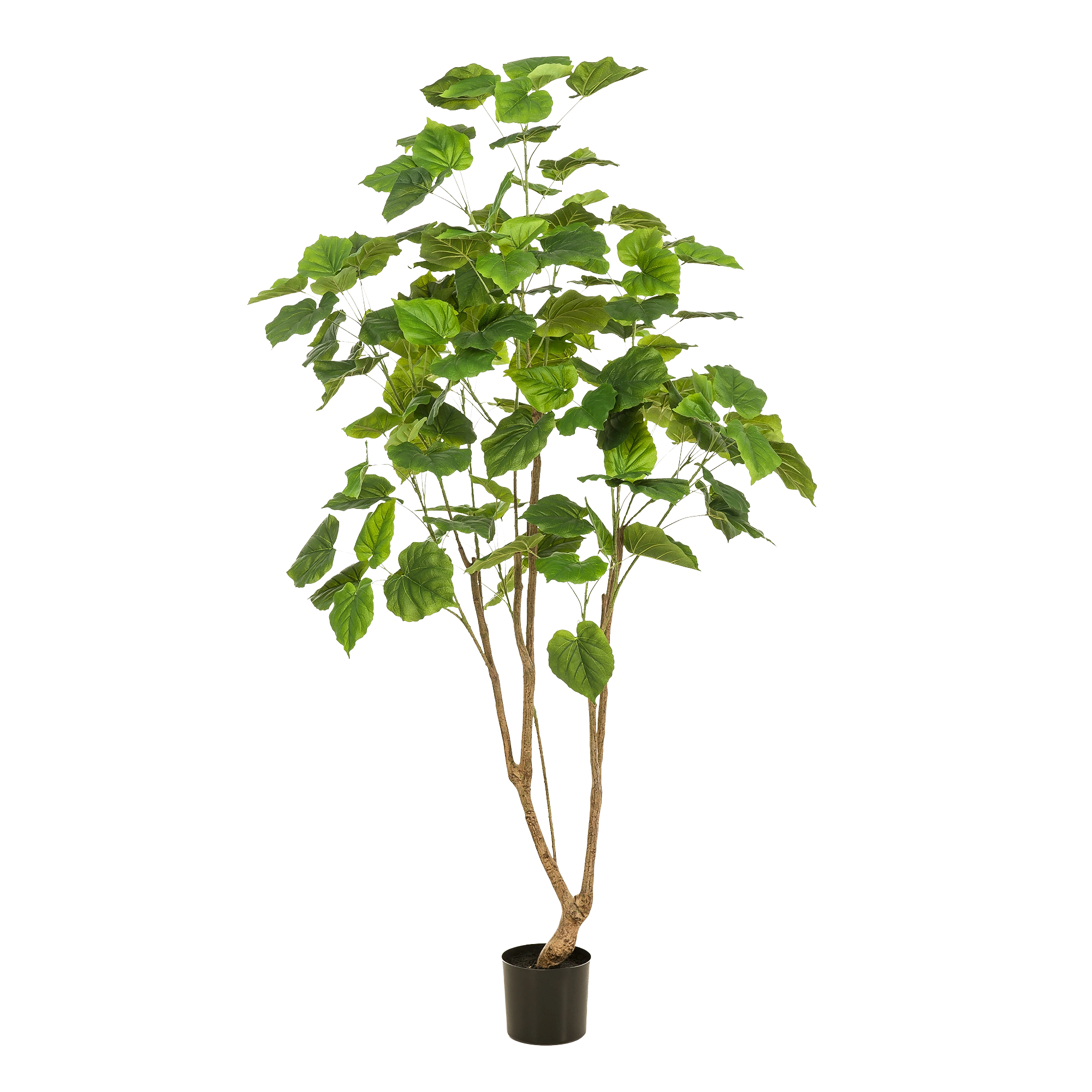 Ficus Umbellata kunstplant (Afrikaanse Vijg)