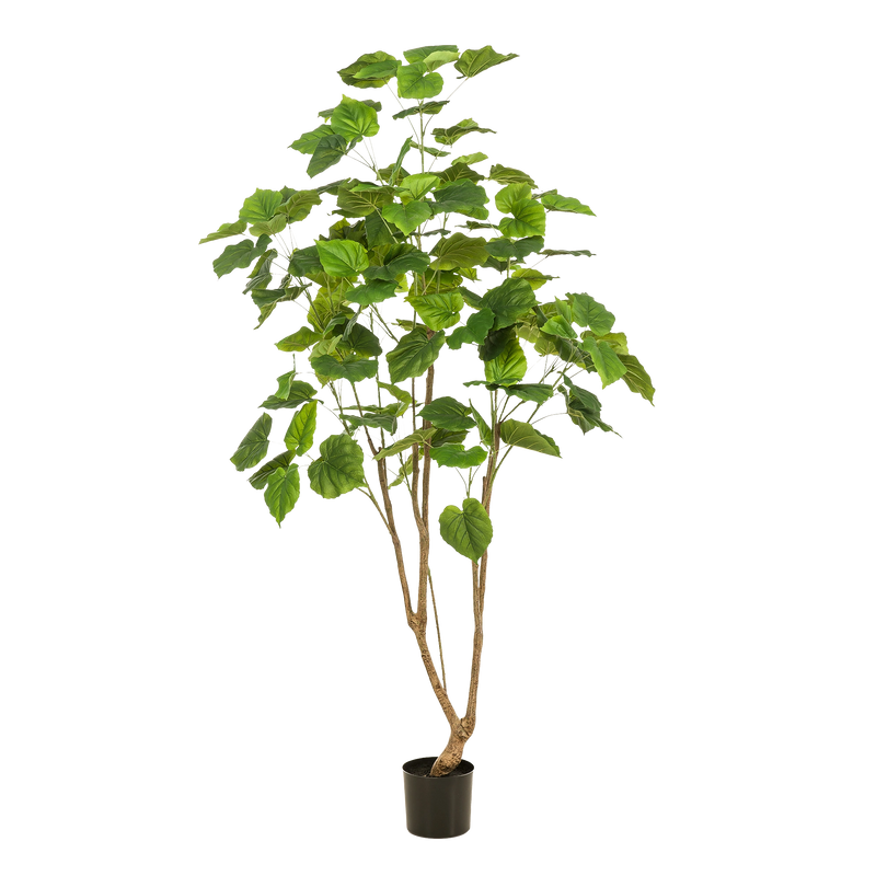 Ficus Umbellata kunstplant (Afrikaanse Vijg)