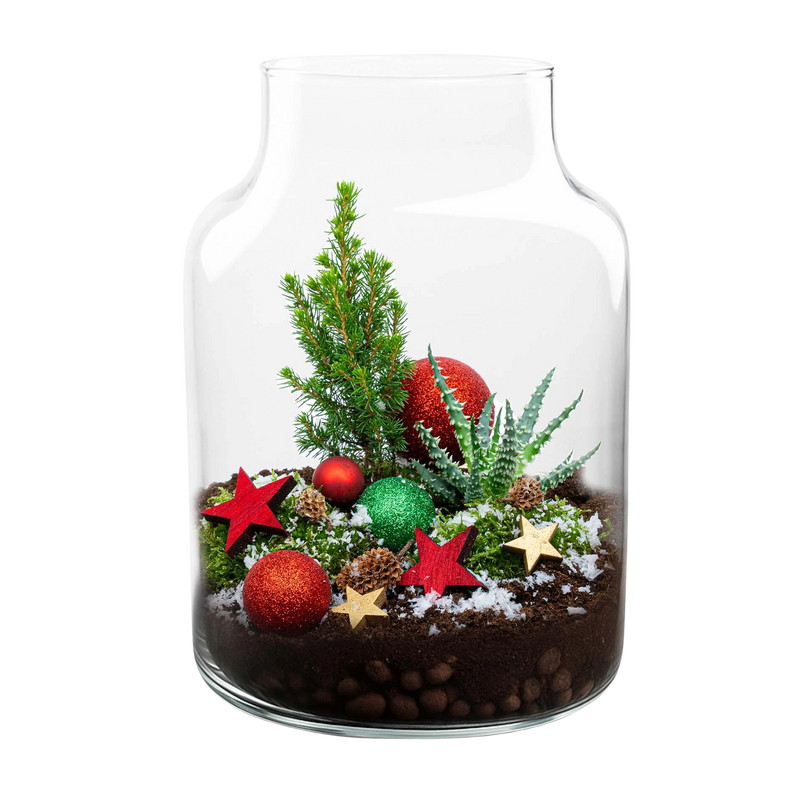 Frosty Kerstmis Terrarium – DIY Planten Terrarium Christmas