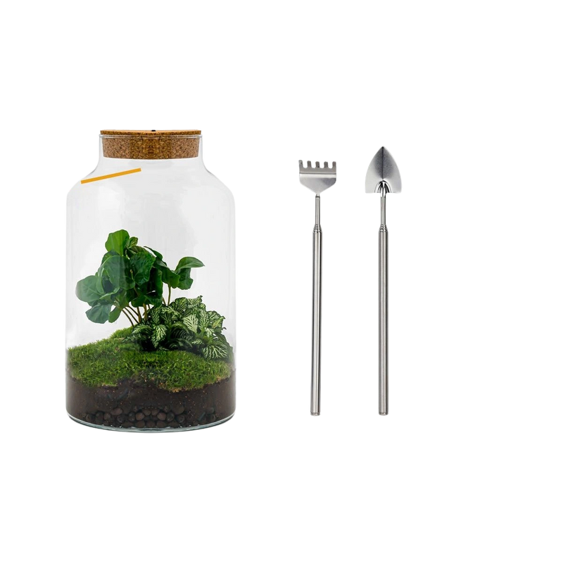 Milky Coffea met LED - Terrarium