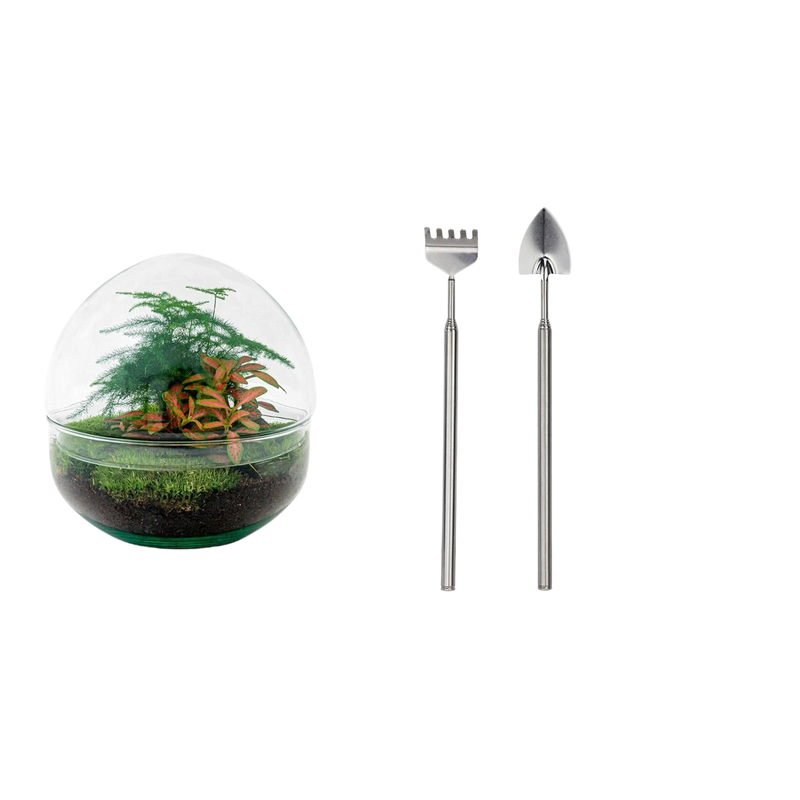 Dome Red Terrarium