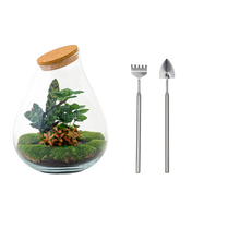 Drop XL Rood Terrarium