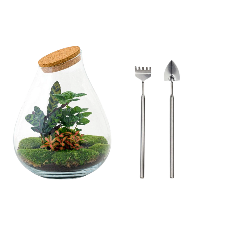 Drop XL Rood Terrarium