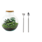 Bolder Bob Terrarium