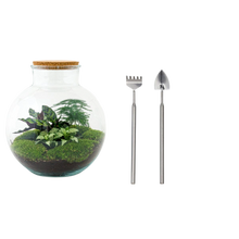 Bolder Bob Terrarium