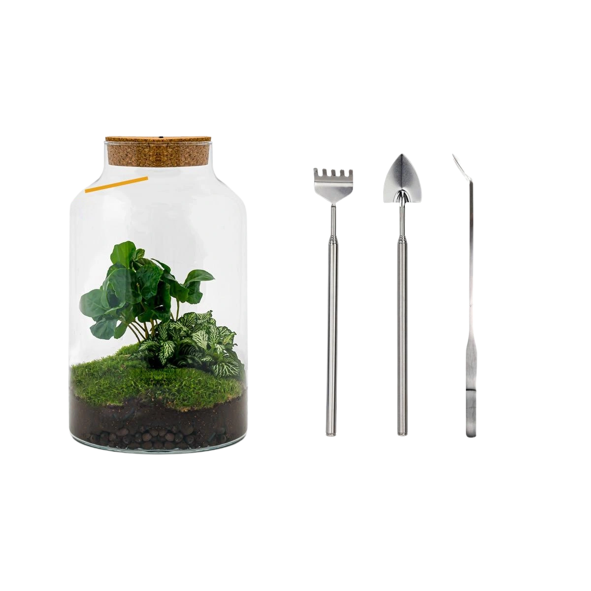 Milky Coffea met LED - Terrarium