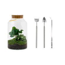 Milky Coffea met LED - Terrarium