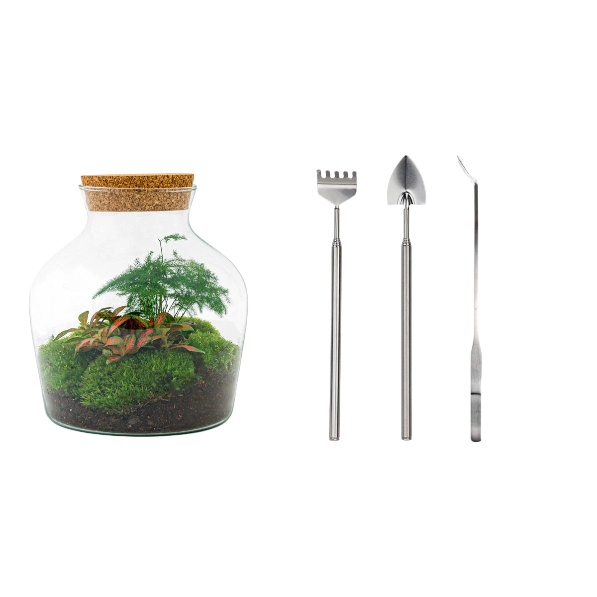 Little Joe Terrarium