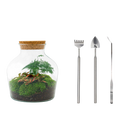 Little Joe Terrarium