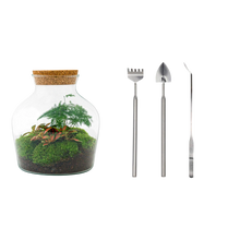 Little Joe Terrarium