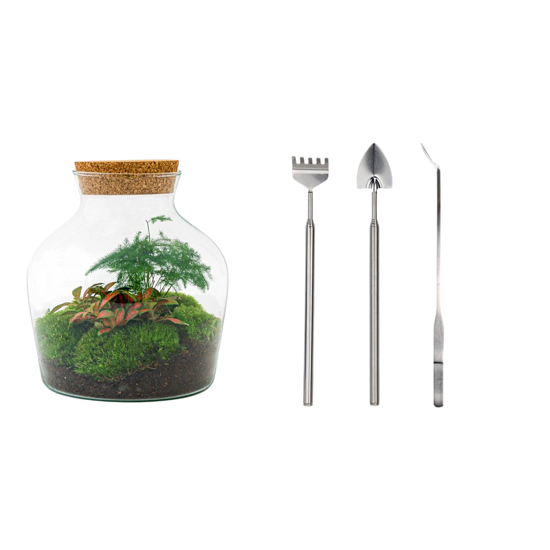 Little Joe Terrarium