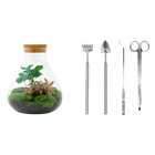 Sammie Coffea Terrarium