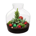Holly Christmas Terrarium DIY Kit