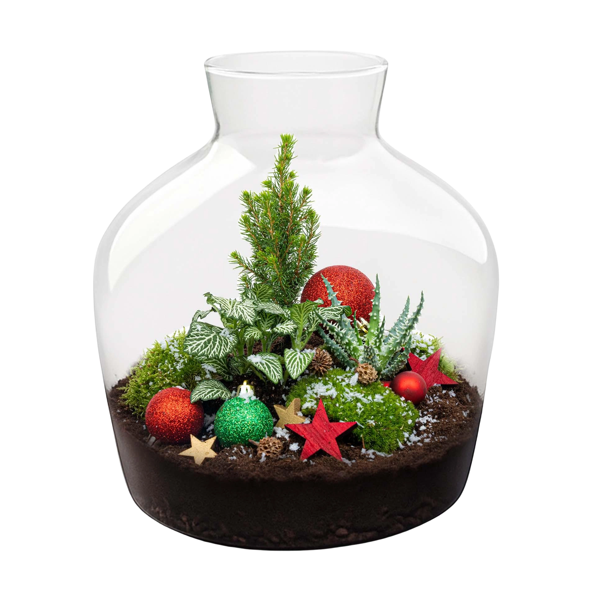 Holly Christmas Terrarium DIY Kit