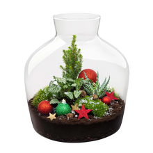 Holly Christmas Terrarium DIY Kit