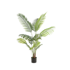 Howea Forsteriana Kunstplant (Paradijspalm)