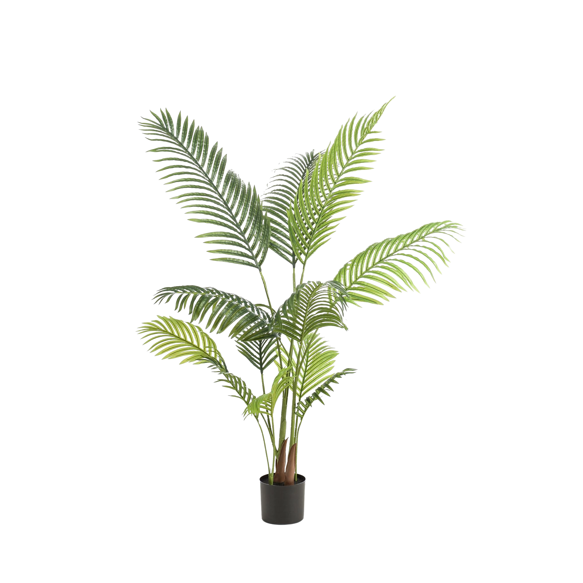 Howea Forsteriana Kunstplant (Paradijspalm)